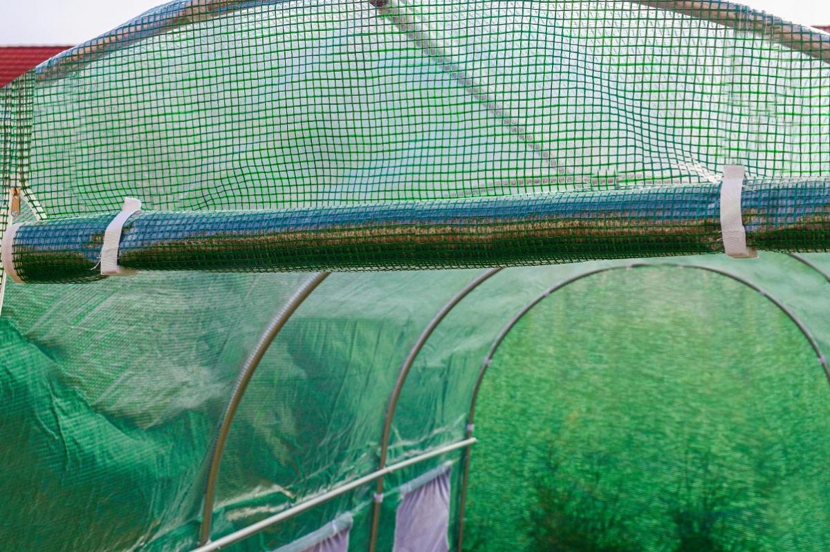 i85001342-fa11cbee5ac4b423e3df17a660eba727-1717503799827 Садова теплиця Funfit 4 x 2,5 x 2 м (10м²) - Ідеальне рішення для вашого саду - Зображення 7