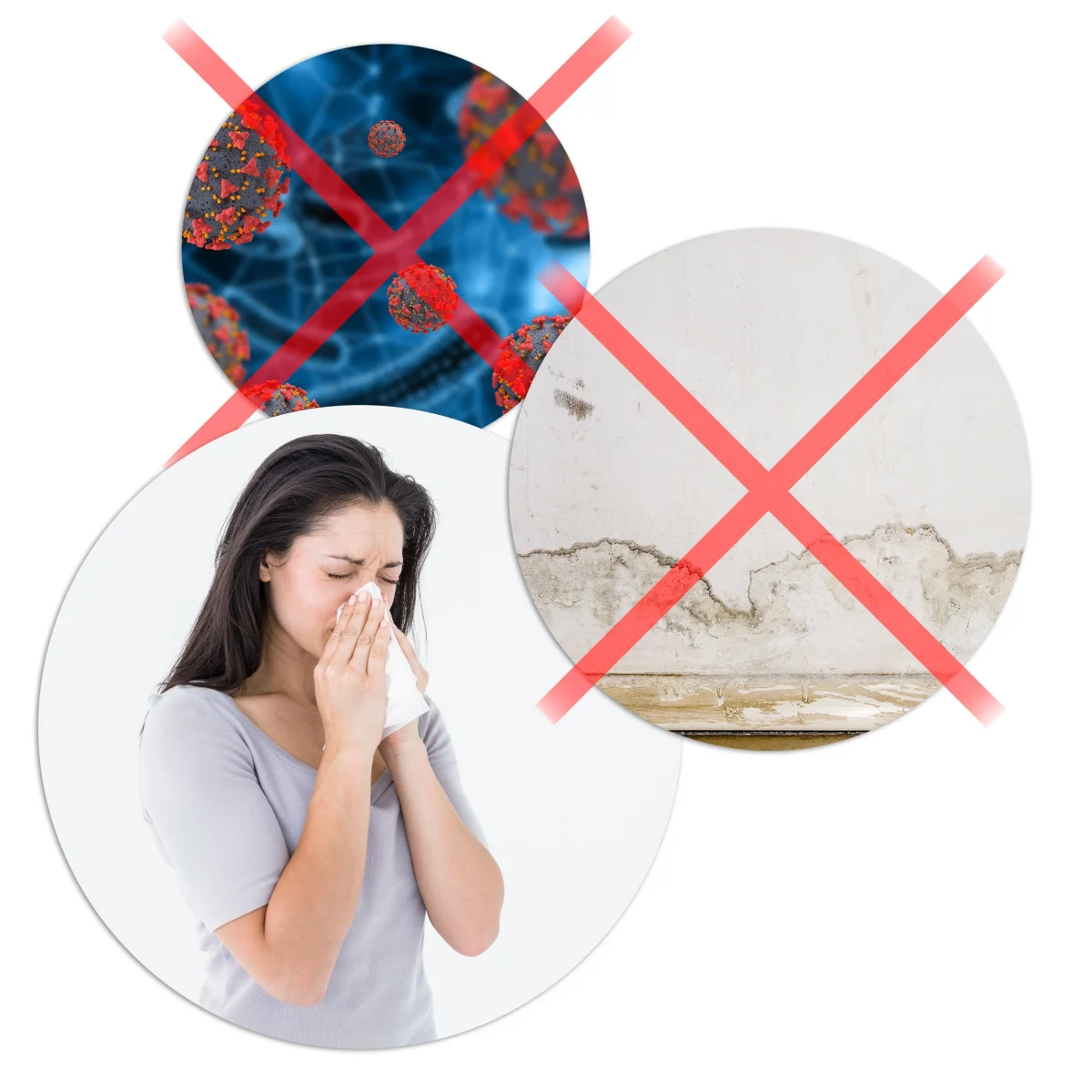 Осушувач повітря - вологопоглинач Berdsen BR-10B чорний - Зображення 15