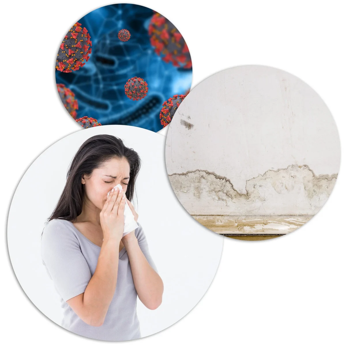 Осушувач повітря - вологопоглинач Berdsen BR-22A чорний - Зображення 18