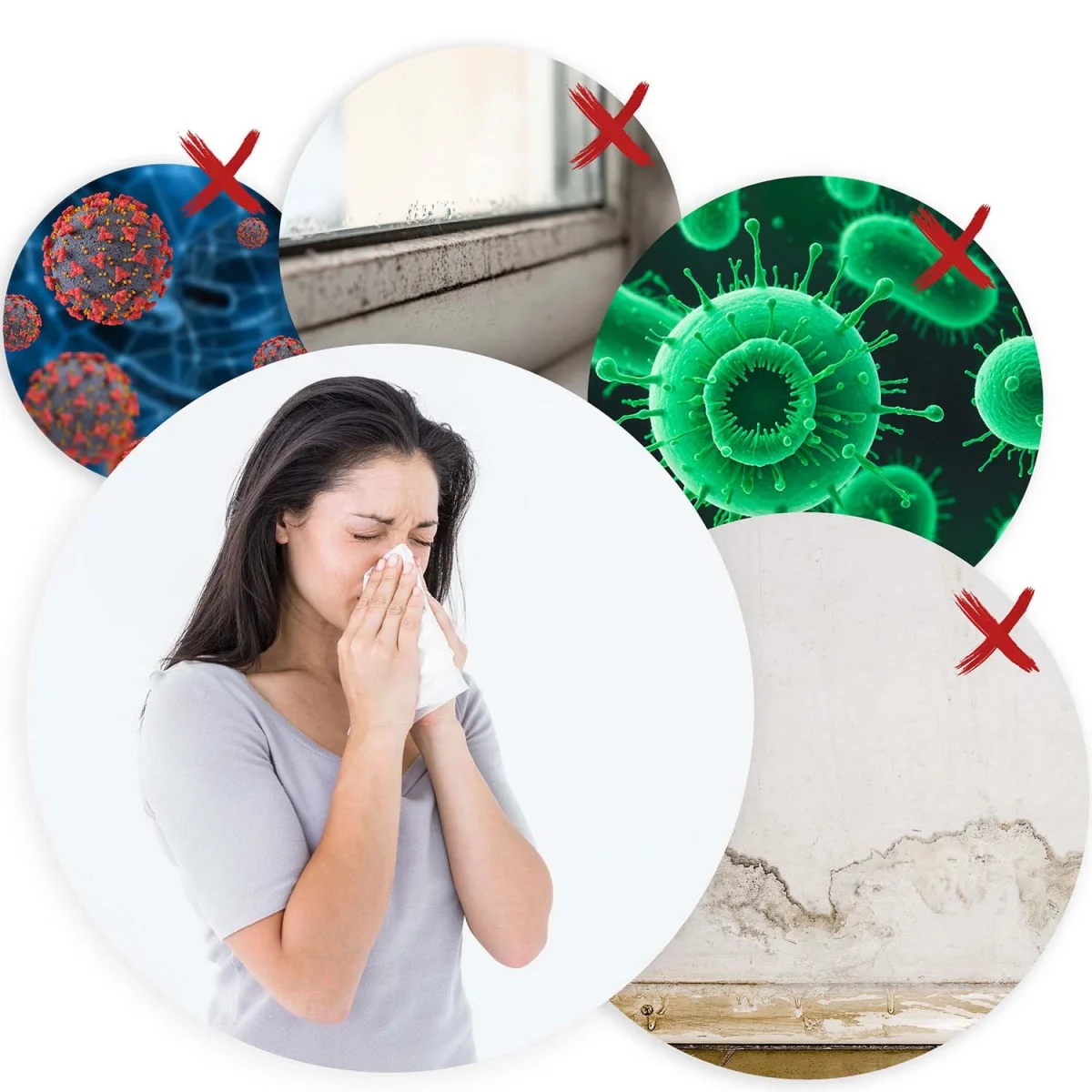 Осушувач повітря - вологопоглинач Berdsen BD-530 - Зображення 6