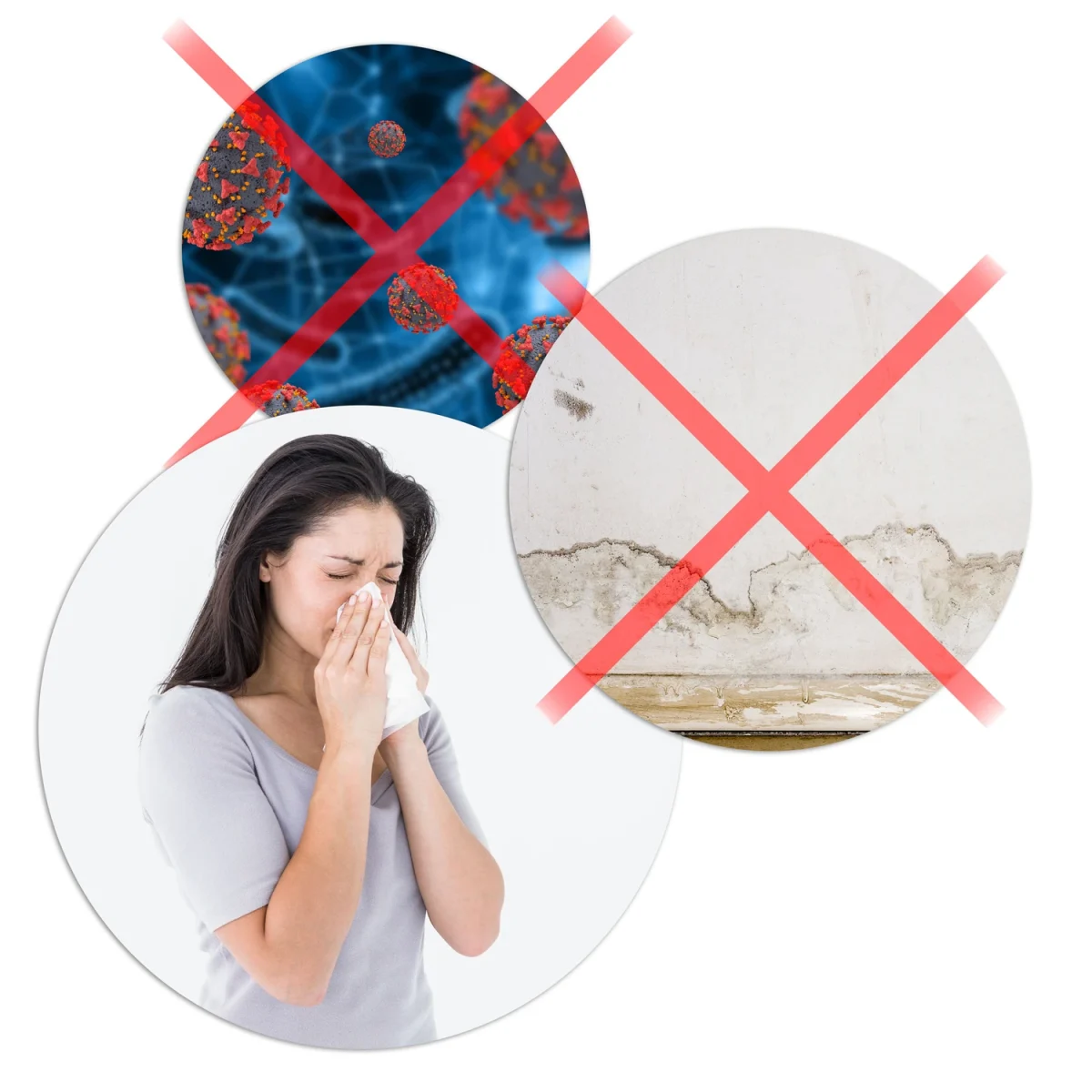 Осушувач повітря - вологопоглинач Berdsen BR-20D чорний - Зображення 15