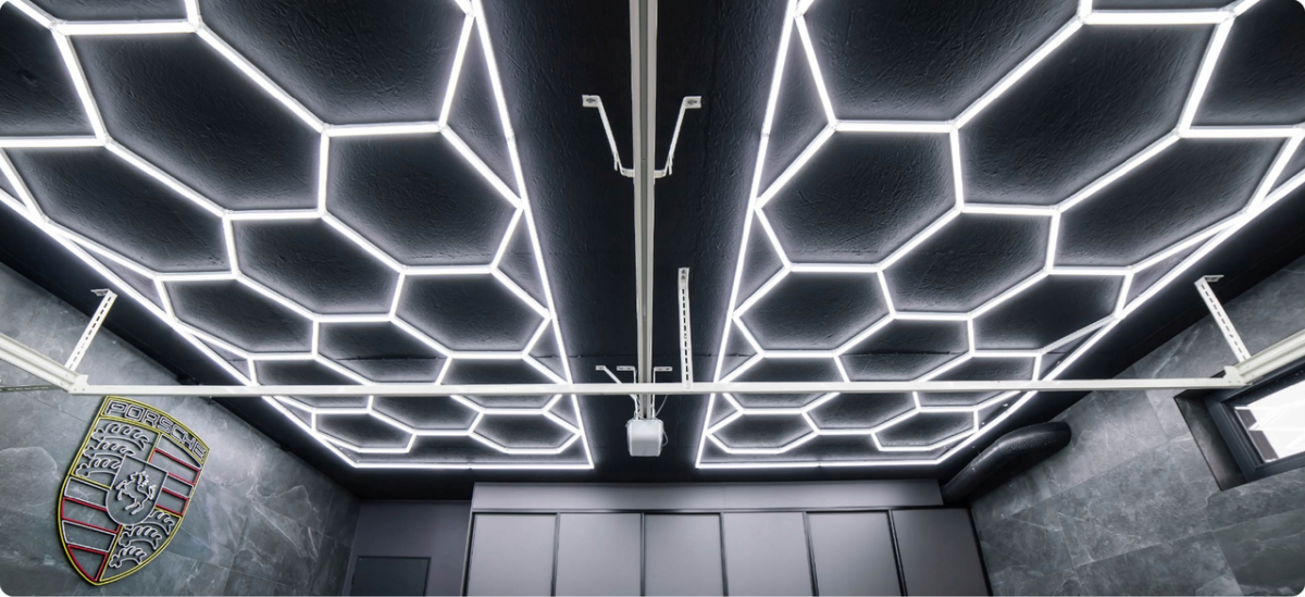 6605051609_w640_h640_sadovij-gamak-z Світлодіодна панель LumiOn 484,5 x 243,5 см біла потужне та стильне освітлення для вашого простору - Зображення 3