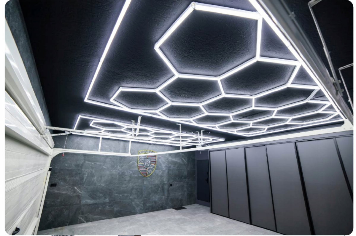 6605051688_w640_h640_sadovij-gamak-z-1 Світлодіодна панель LumiOn 484,5 x 243,5 см біла потужне та стильне освітлення для вашого простору - Зображення 4