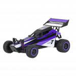 Машинка на дистанційному керуванні PHANTOM by Quer ZAB0104