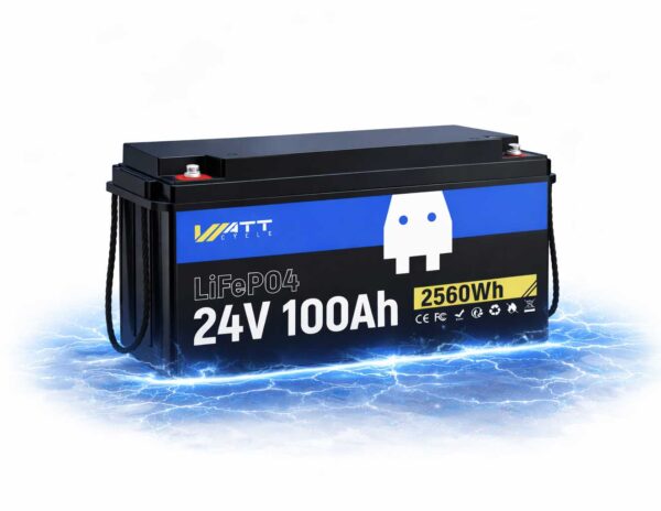 LiFePO4 акумулятор WattCycle 24V 100Ah батарея з BMS 100А IP65