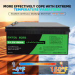 Акумулятор DATOU BOSS 48V 100Ah з BMS, LiFePO4 для сонячних систем, ДБЖ, RV (SP-DT-48V100A-A01-EU) - Зображення 4