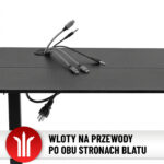 Стіл Hell's Chair з електричним регулюванням Black Carbon 140x70 см - Зображення 14