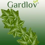 Штучний плющ Gardlov 50,4 м для декору інтер'єру та екстер'єру