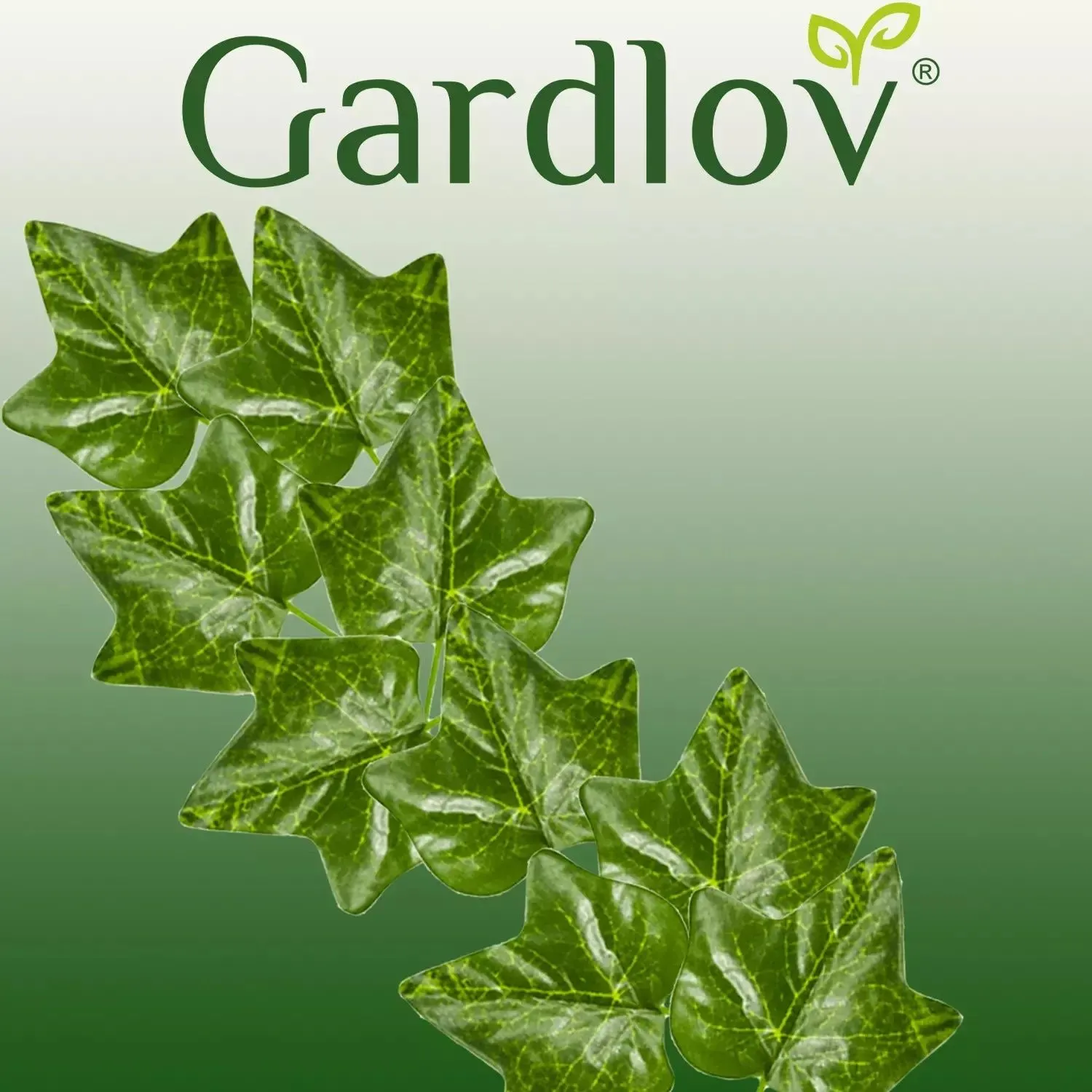 pol_pl_10107-10107_11 Штучний плющ Gardlov 50,4 м для декору інтер'єру та екстер'єру - Зображення 1