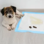 Гігієнічні пелюшки Purlov 60x60 см, 50 шт. - Зображення 13
