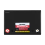 Акумулятор VIPOW BAT0496 LiFePO4 100Ah з BMS - Зображення 2